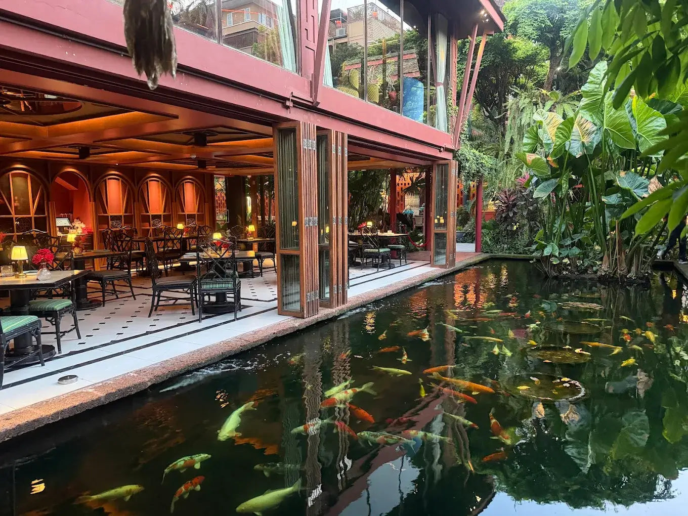 Afternoon tea in a serene Bangkok setting in Jim Thompson house with koi pond and lush greenery.